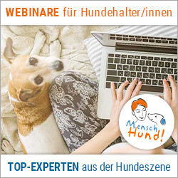 Webinare für Hundehalter/innen