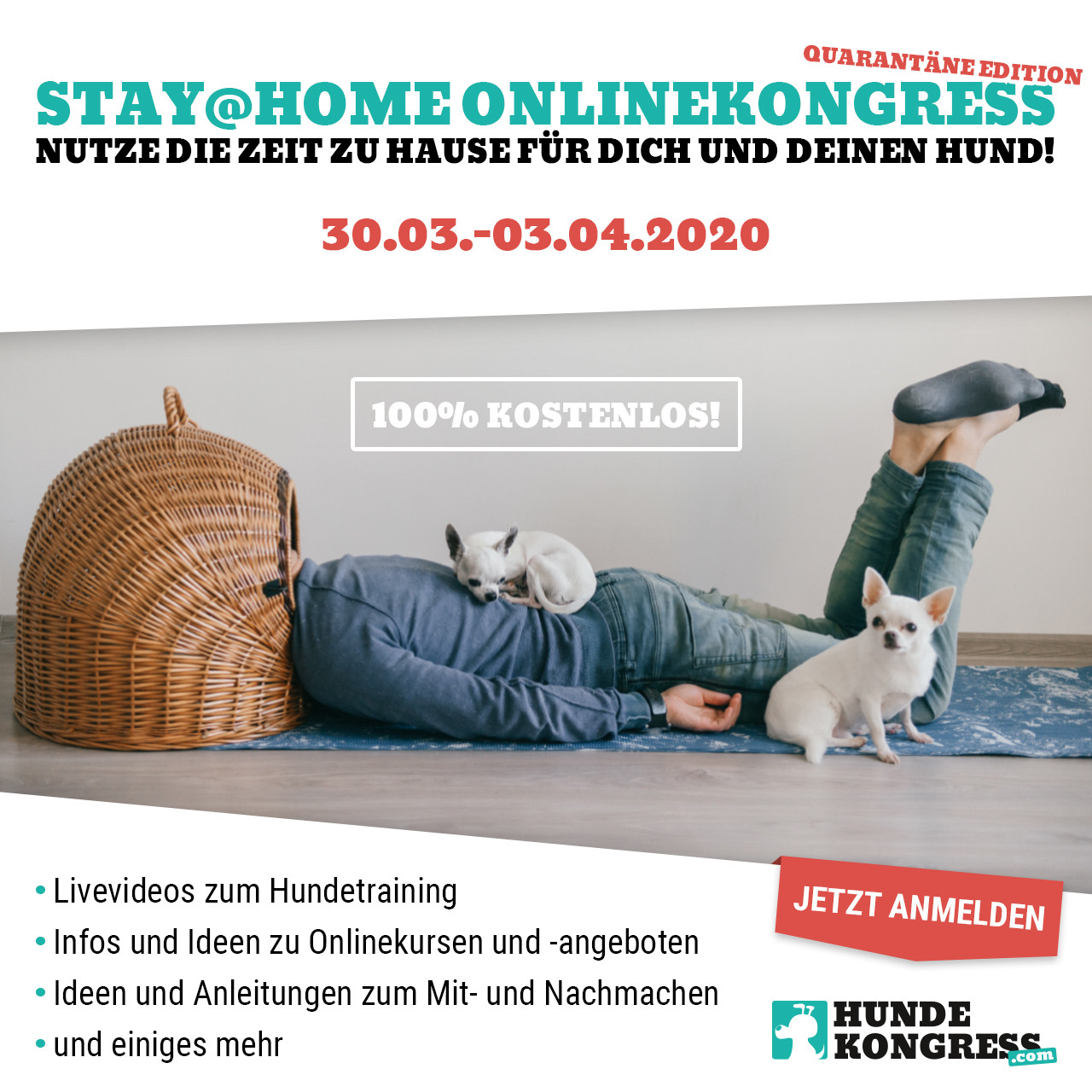 Der kostenlose Stay@Home-Hundekongress