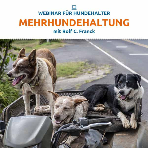 Webinar